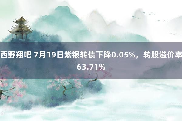 西野翔吧 7月19日紫银转债下降0.05%，转股溢价率63.71%