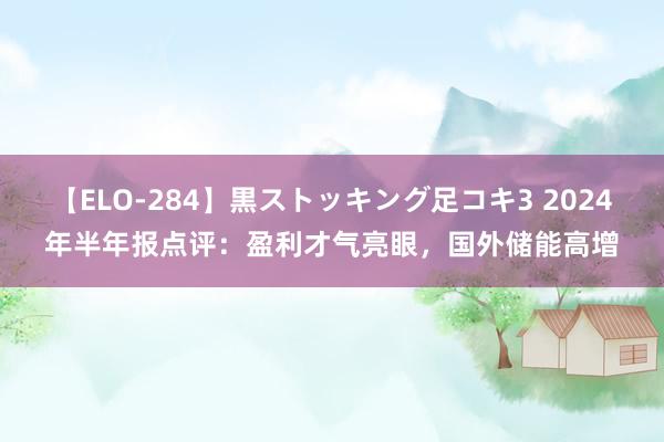 【ELO-284】黒ストッキング足コキ3 2024年半年报点评：盈利才气亮眼，国外储能高增