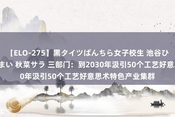 【ELO-275】黒タイツぱんちら女子校生 池谷ひかる さくら 宮下まい 秋菜サラ 三部门：到2030年汲引50个工艺好意思术特色产业集群