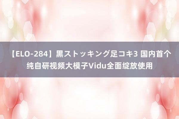 【ELO-284】黒ストッキング足コキ3 国内首个纯自研视频大模子Vidu全面绽放使用