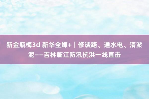 新金瓶梅3d 新华全媒+｜修谈路、通水电、清淤泥——吉林临江防汛抗洪一线直击