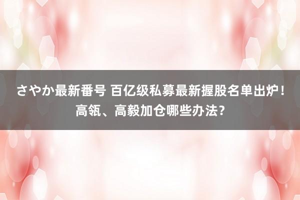 さやか最新番号 百亿级私募最新握股名单出炉！高瓴、高毅加仓哪些办法？