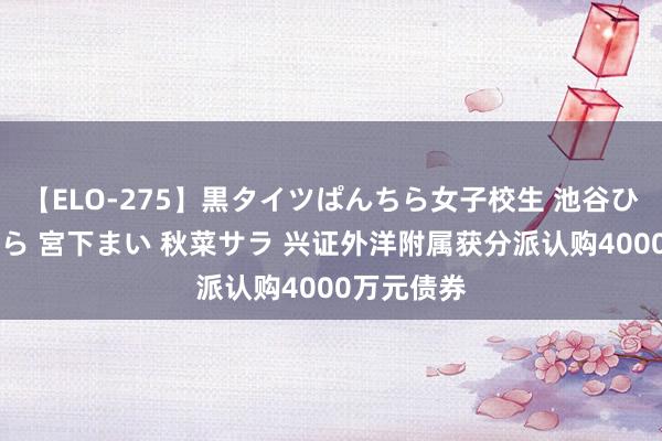 【ELO-275】黒タイツぱんちら女子校生 池谷ひかる さくら 宮下まい 秋菜サラ 兴证外洋附属获分派认购4000万元债券