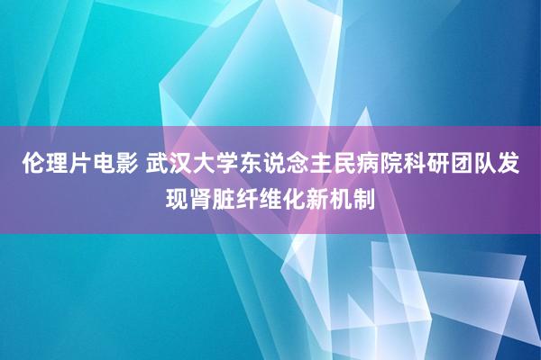 伦理片电影 武汉大学东说念主民病院科研团队发现肾脏纤维化新机制