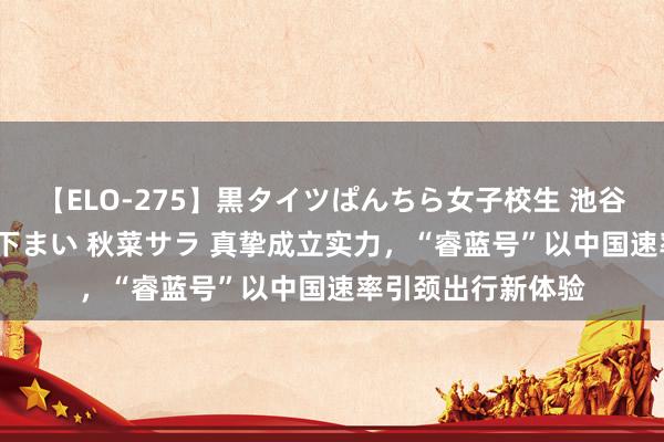 【ELO-275】黒タイツぱんちら女子校生 池谷ひかる さくら 宮下まい 秋菜サラ 真挚成立实力，“睿蓝号”以中国速率引颈出行新体验