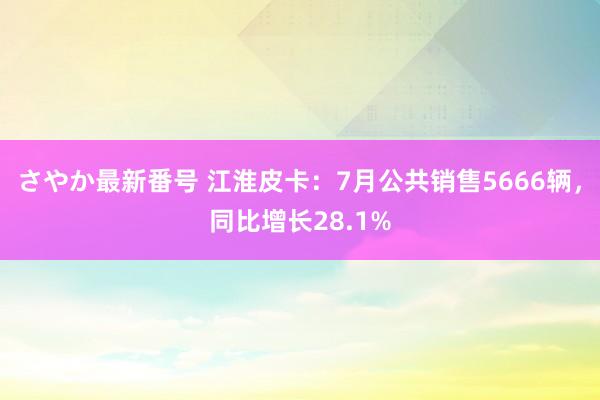 さやか最新番号 江淮皮卡：7月公共销售5666辆，同比增长28.1%
