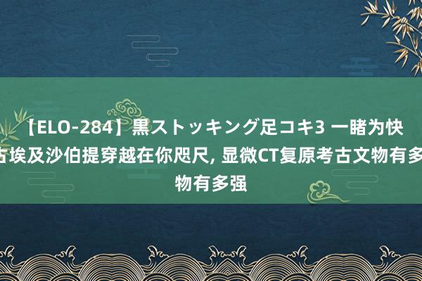 【ELO-284】黒ストッキング足コキ3 一睹为快! 古埃及沙伯提穿越在你咫尺， 显微CT复原考古文物有多强