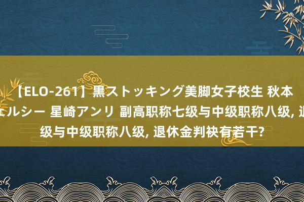 【ELO-261】黒ストッキング美脚女子校生 秋本レオナ さくら チェルシー 星崎アンリ 副高职称七级与中级职称八级， 退休金判袂有若干?