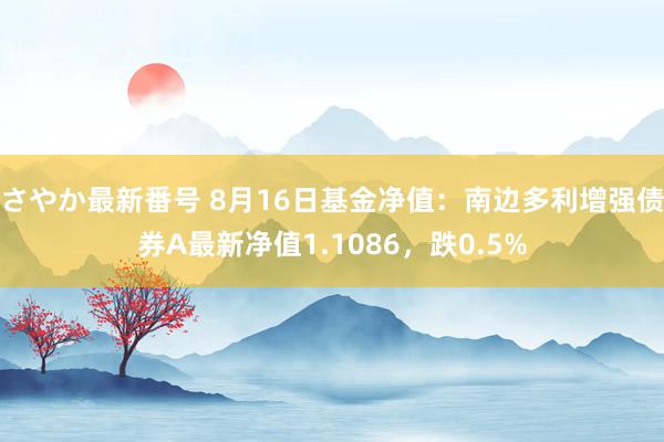 さやか最新番号 8月16日基金净值：南边多利增强债券A最新净值1.1086，跌0.5%