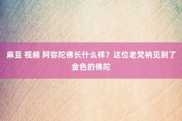 麻豆 视频 阿弥陀佛长什么样？这位老梵衲见到了金色的佛陀