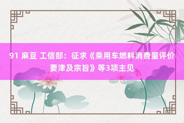 91 麻豆 工信部：征求《乘用车燃料消费量评价要津及宗旨》等3项主见