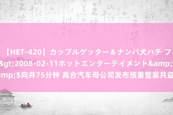 【HET-420】カップルゲッター＆ナンパ犬ハチ ファイト一発</a>2008-02-11ホットエンターテイメント&$向井75分钟 高合汽车母公司发布预重整案共益债投资东谈主招募施展公告