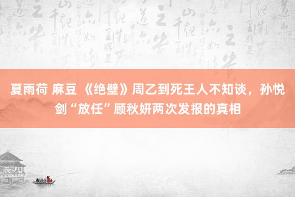 夏雨荷 麻豆 《绝壁》周乙到死王人不知谈，孙悦剑“放任”顾秋妍两次发报的真相