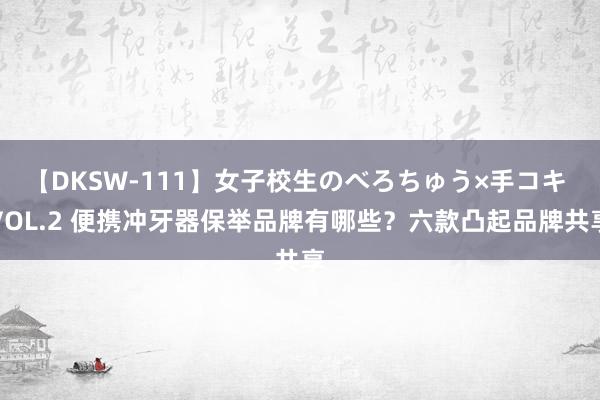 【DKSW-111】女子校生のべろちゅう×手コキ VOL.2 便携冲牙器保举品牌有哪些？六款凸起品牌共享