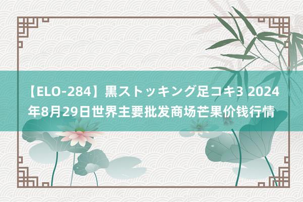 【ELO-284】黒ストッキング足コキ3 2024年8月29日世界主要批发商场芒果价钱行情