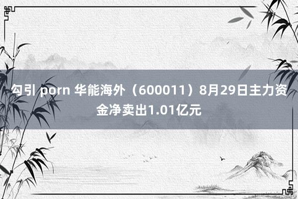 勾引 porn 华能海外（600011）8月29日主力资金净卖出1.01亿元