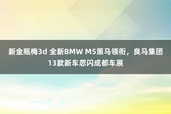 新金瓶梅3d 全新BMW M5策马领衔，良马集团13款新车忽闪成都车展