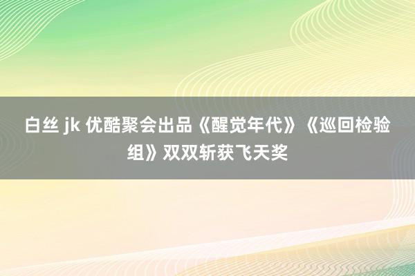 白丝 jk 优酷聚会出品《醒觉年代》《巡回检验组》双双斩获飞天奖