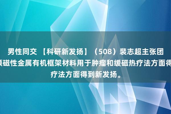 男性同交 【科研新发扬】（508）裴志超主张团队在构建顺磁性金属有机框架材料用于肿瘤和缓磁热疗法方面得到新发扬。