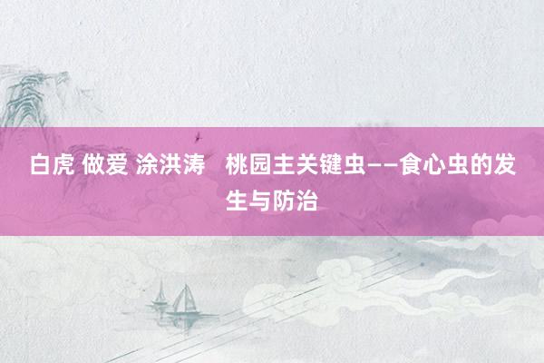 白虎 做爱 涂洪涛   桃园主关键虫——食心虫的发生与防治