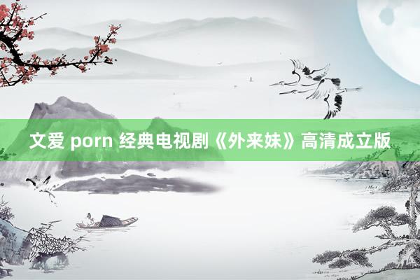 文爱 porn 经典电视剧《外来妹》高清成立版