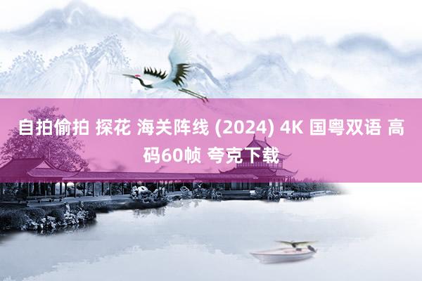 自拍偷拍 探花 海关阵线 (2024) 4K 国粤双语 高码60帧 夸克下载