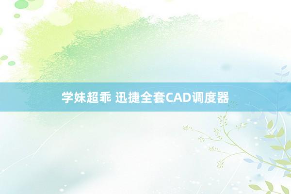 学妹超乖 迅捷全套CAD调度器